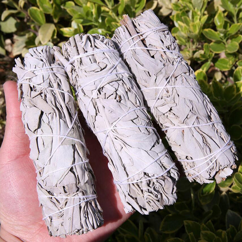 White Sage Sticks Bundle