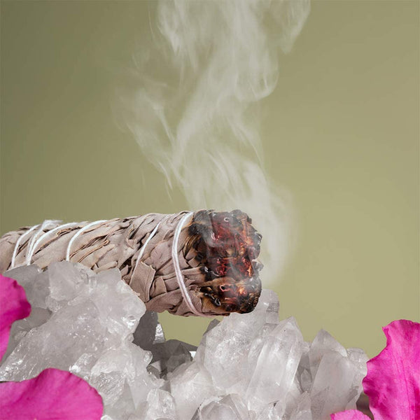 White Sage Sticks Bundle