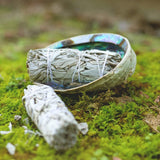 White Sage Sticks Bundle