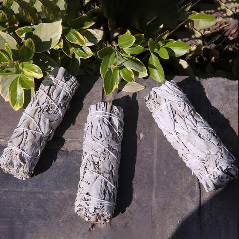 White Sage Sticks Bundle